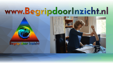 Omslagafbeelding Inge Burgerhof